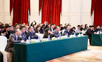 918博天娱乐官网集团党委&ldquo;书记带项目&rdquo;工作阶段性进展汇报会成功召开